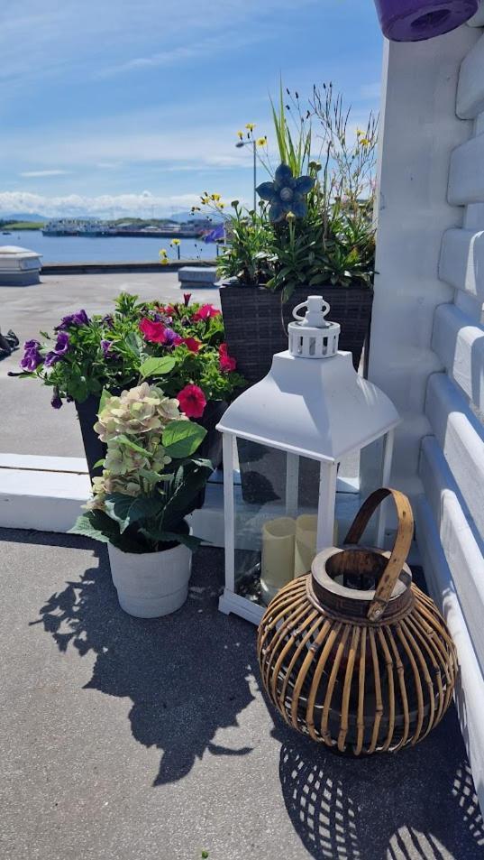 Rosie'S Apartments Killybegs Buitenkant foto